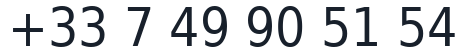 Numéro de téléphone professionnel